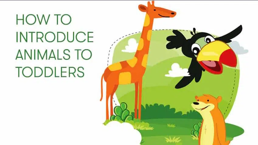 How to introduce Animals to Preschoolers?