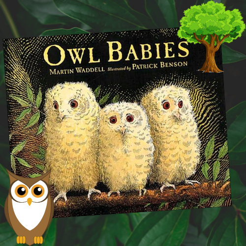 Children Book: Owl Babies