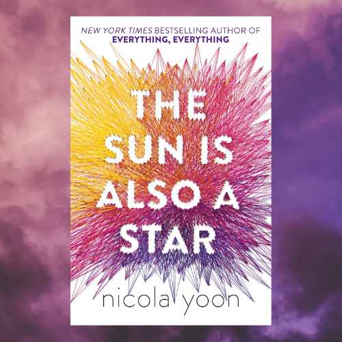 Book: The Sun is Also a Star
