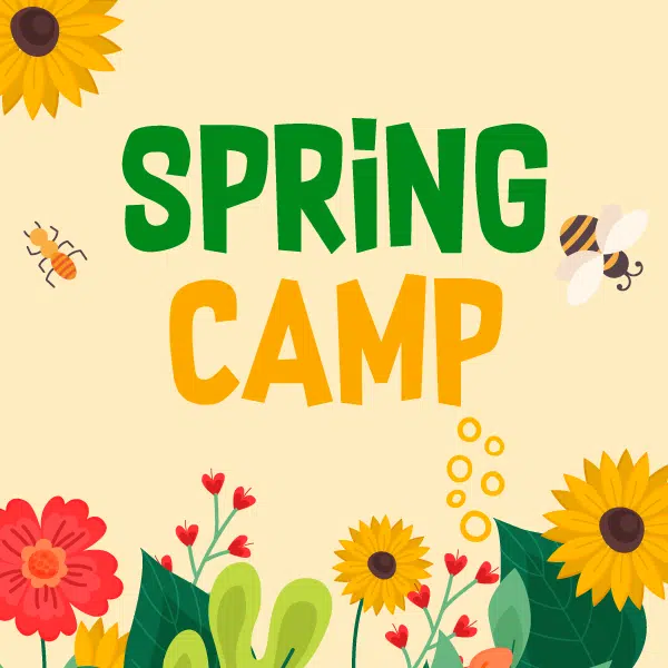 Spring-camp